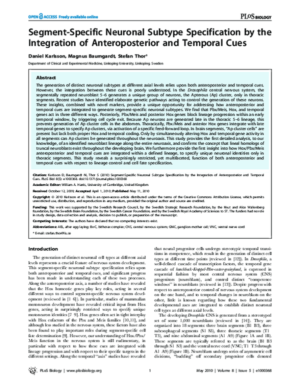 (PDF) Segment-Specific Neuronal Subtype Specification by the ...