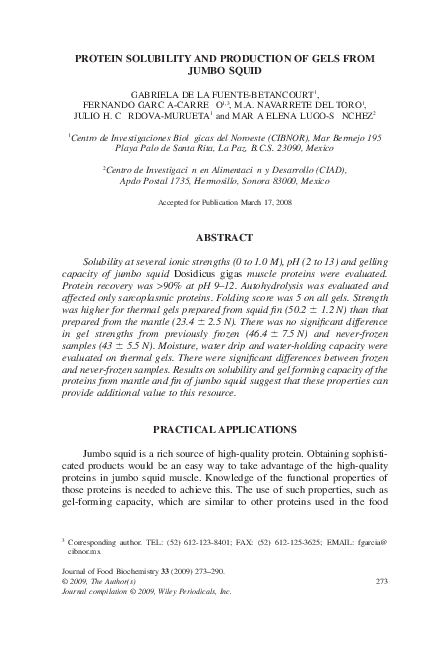 Humboldt squid animal image