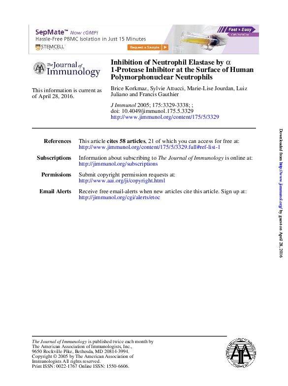 (PDF) Inhibition of neutrophil elastase by α1protease inhibitor at the surface of human