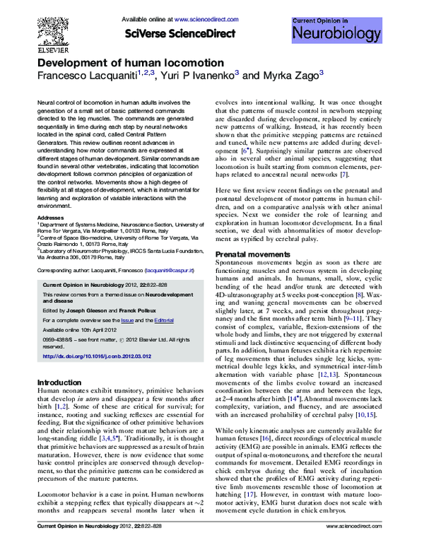 (PDF) Development of human locomotion