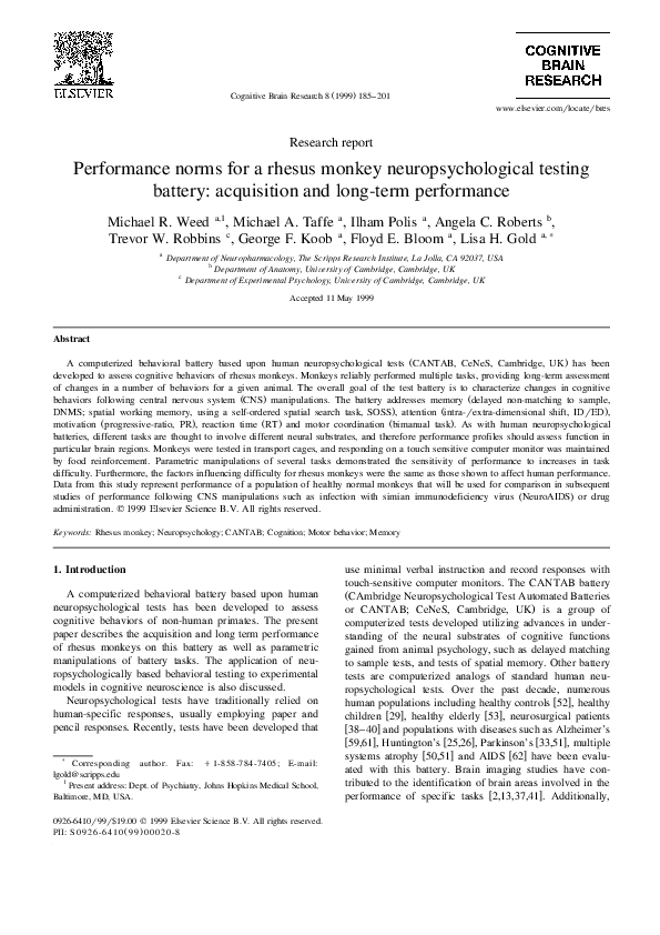 Essay neuropsychological testing image