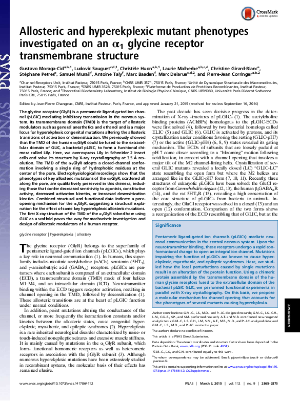 (PDF) Allosteric and hyperekplexic mutant phenotypes investigated on an ...