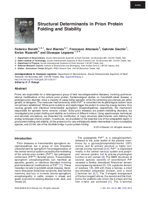 (PDF) Structural Determinants in Prion Protein Folding and Stability