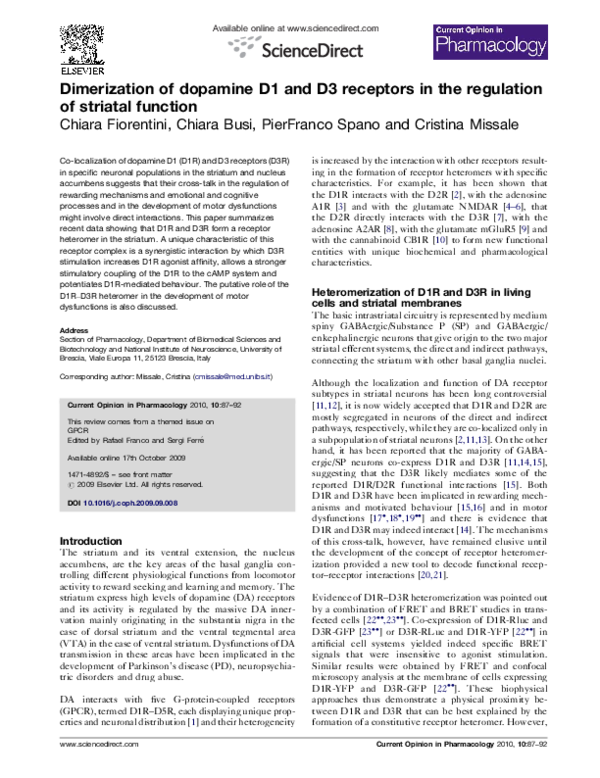 (PDF) Dimerization of dopamine D1 and D3 receptors in the regulation of ...