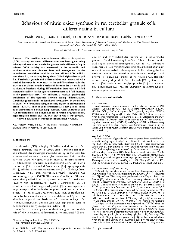 (PDF) Behaviour of nitric oxide synthase in rat cerebellar granule ...