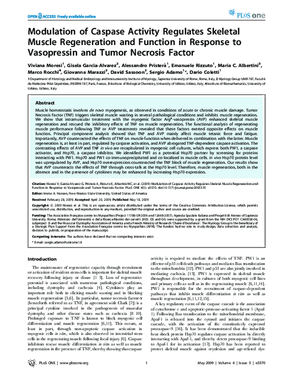 (PDF) Modulation of Caspase Activity Regulates Skeletal Muscle ...