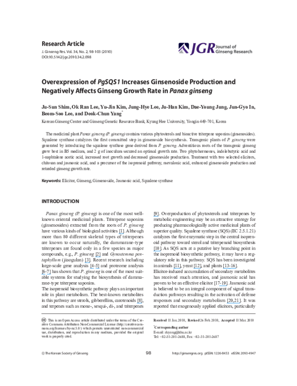 Ginseng benefits image