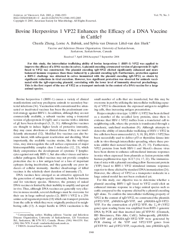 (PDF) Characterization of nuclear localization and export signals of ...