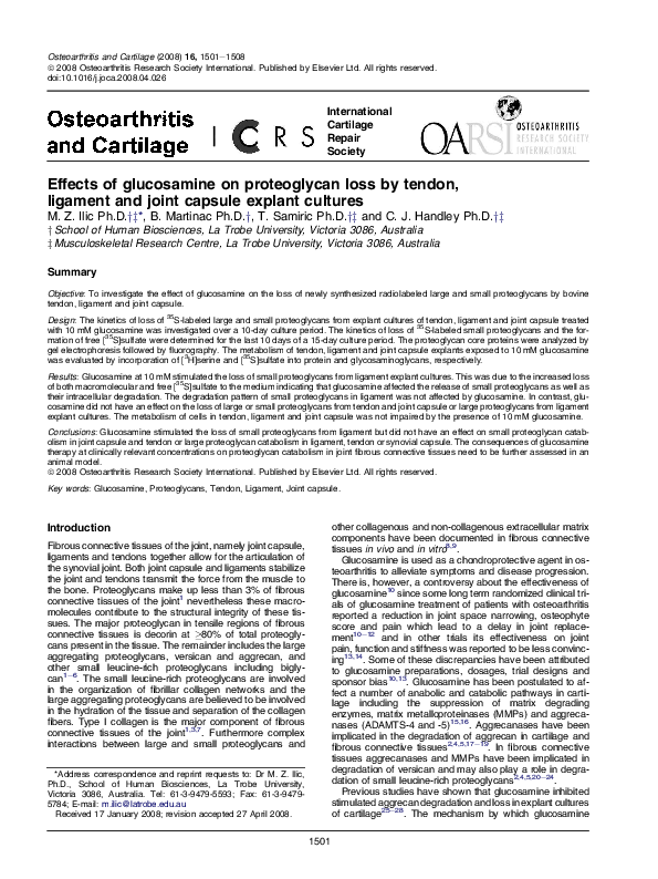 (PDF) Effects of glucosamine on proteoglycan loss by tendon, ligament