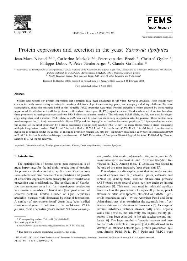 (PDF) Protein expression and secretion in the yeast Yarrowia lipolytica