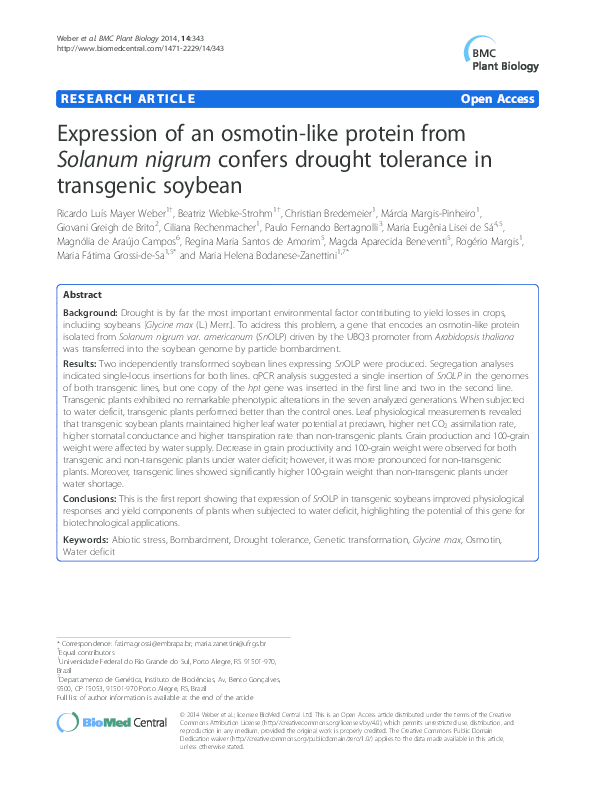 Solanaceae family characteristics picture