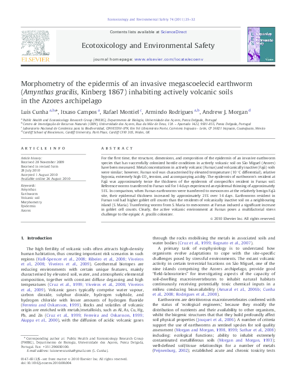 What do earthworms eat picture