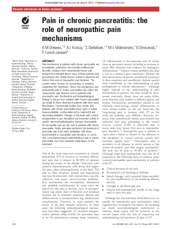 (PDF) Pain in chronic pancreatitis: the role of neuropathic pain mechanisms