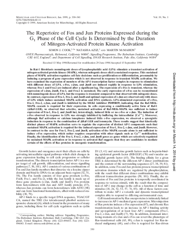 (PDF) The repertoire of fos and jun proteins expressed during the G1 ...
