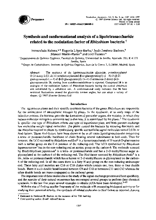 Rhizobium is aerobic or anaerobic image