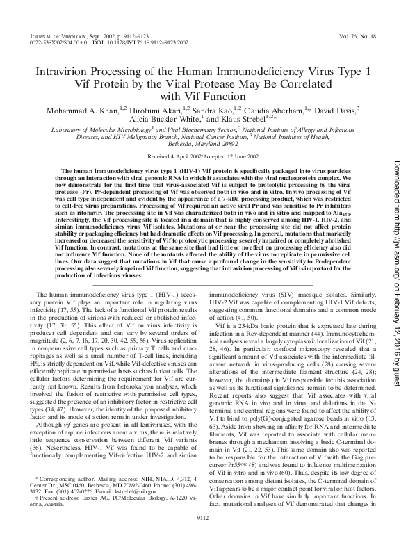 (PDF) Intravirion Processing of the Human Immunodeficiency Virus Type 1 ...