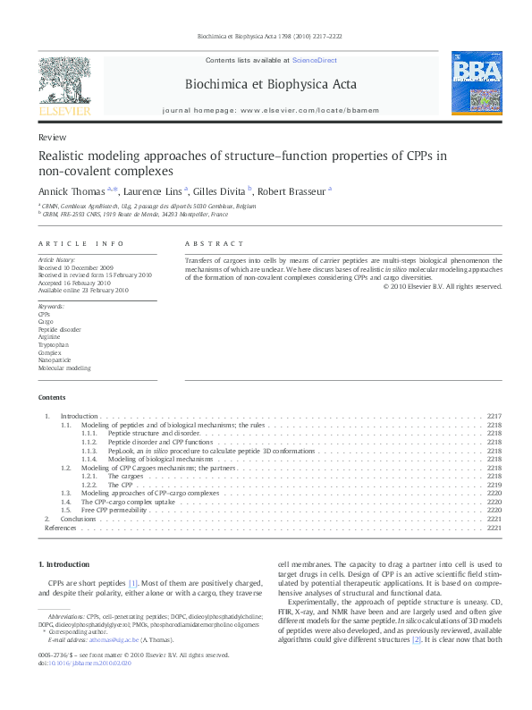 (PDF) Realistic modeling approaches of structure–function properties of ...