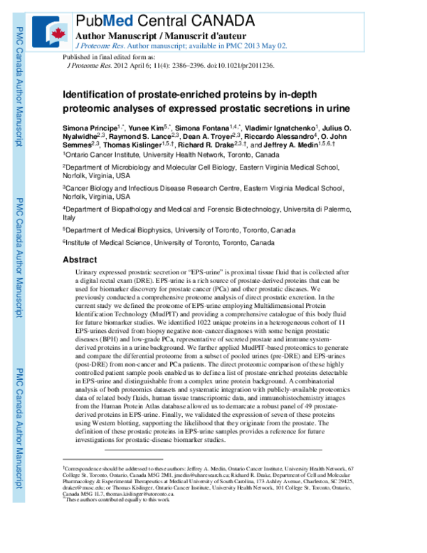 (PDF) Identification of Prostate-Enriched Proteins by In-depth ...