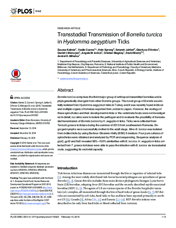 (PDF) Transstadial Transmission of Borrelia turcica in Hyalomma aegyptium Ticks Vasile Cozma