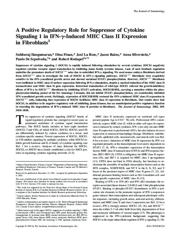 (PDF) A Positive Regulatory Role for Suppressor of Cytokine Signaling 1 ...