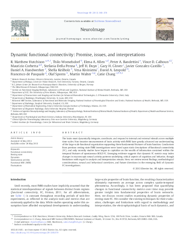  pdf dynamic functional connectivity promises issues and