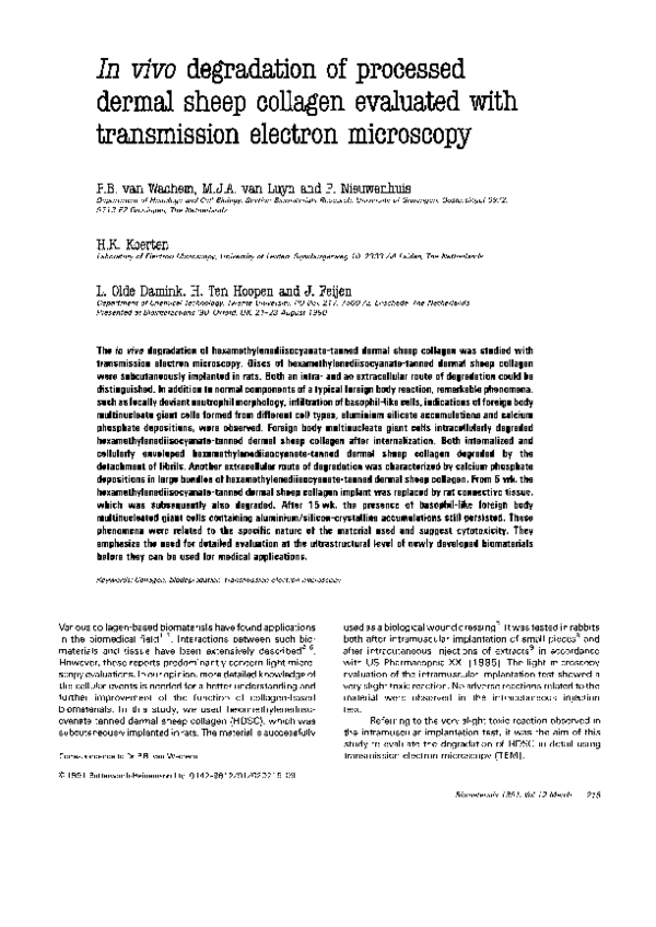(PDF) In vivo degradation of processed dermal sheep collagen evaluated ...