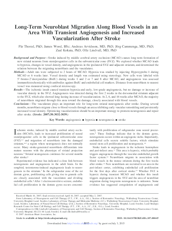 (PDF) Long-Term Neuroblast Migration Along Blood Vessels in an Area ...
