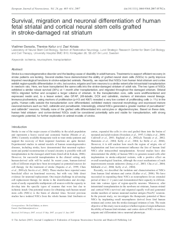 (PDF) Survival, migration and neuronal differentiation of human fetal ...