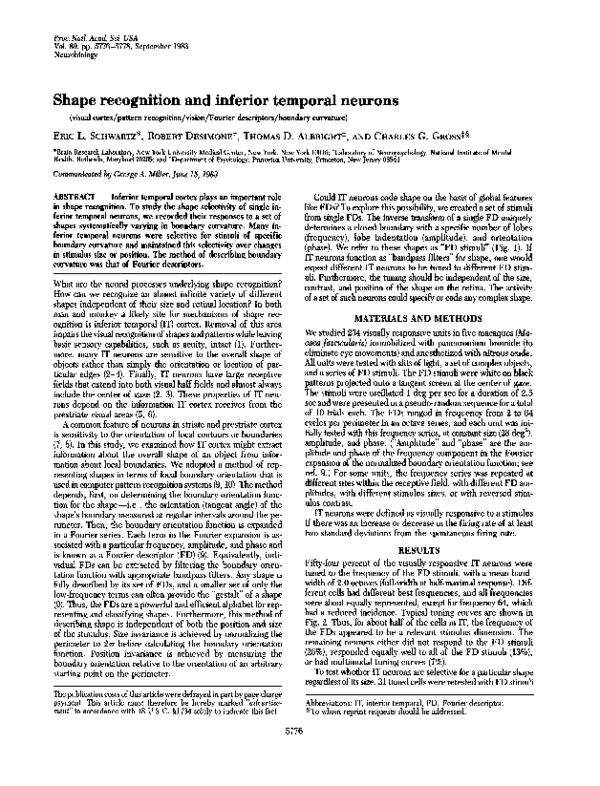 (PDF) Shape recognition and inferior temporal neurons