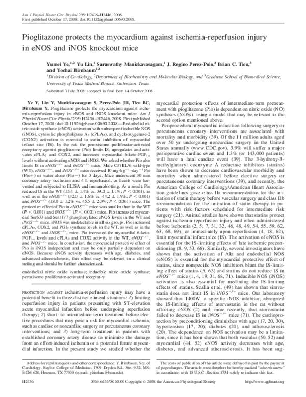 Pioglitazone essay 05 image