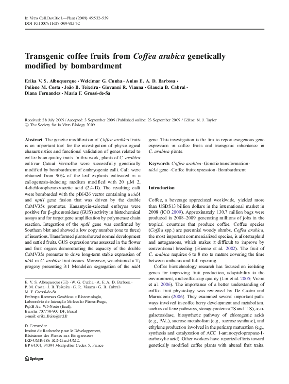 How to make coffee short paragraph picture