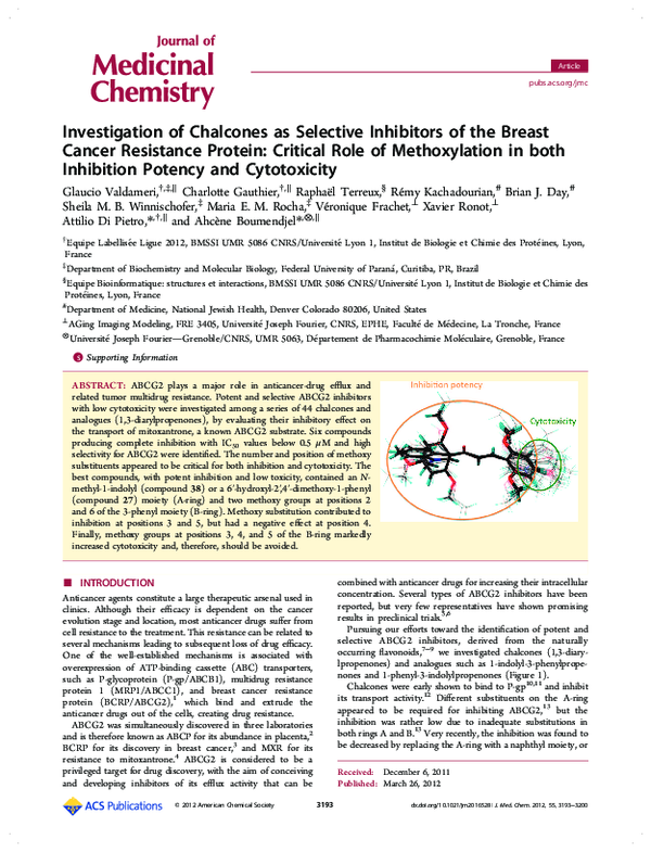 (PDF) Investigation of Chalcones as Selective Inhibitors of the Breast ...