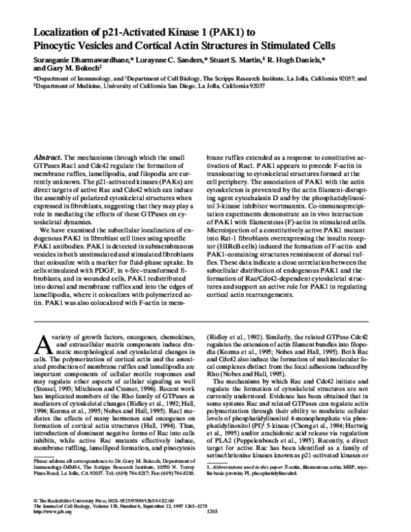 Localization Of P21 Activated Kinase 1 Pak1 To Pseudopodia Pdf