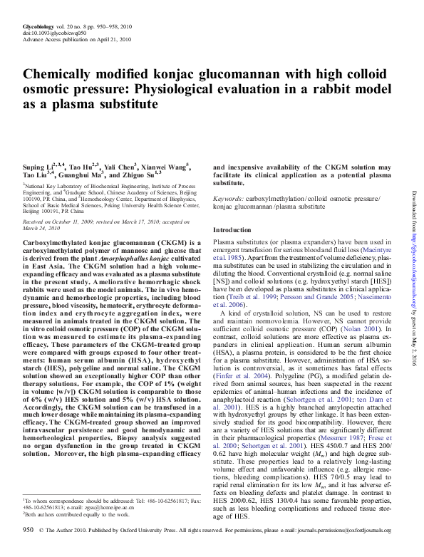 If i were an animal, i would be a rabbit picture