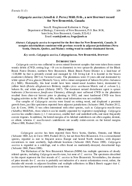 Liverworts characteristics image