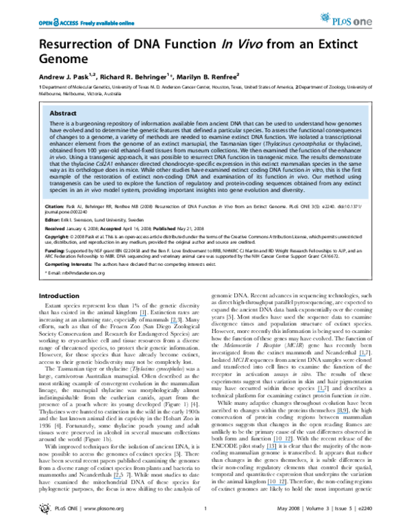 (PDF) Resurrection of DNA function in vivo from an extinct genome