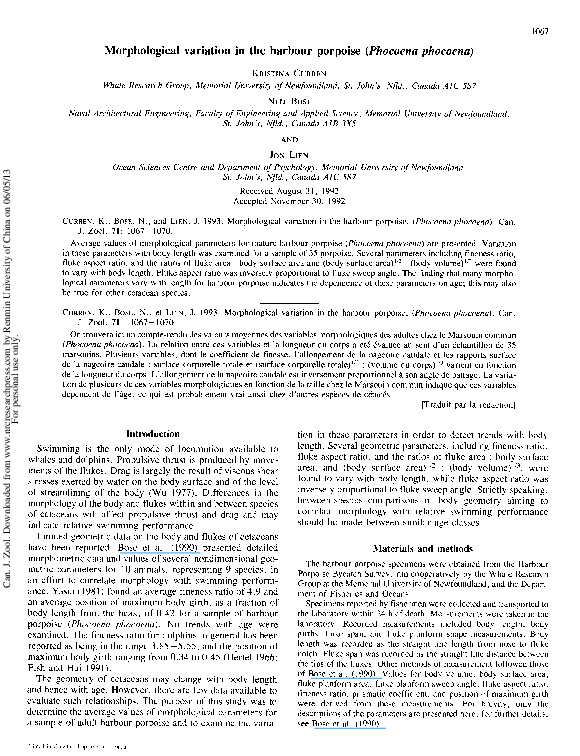 (PDF) Morphological variation in the harbour porpoise ( Phocoena phocoena )