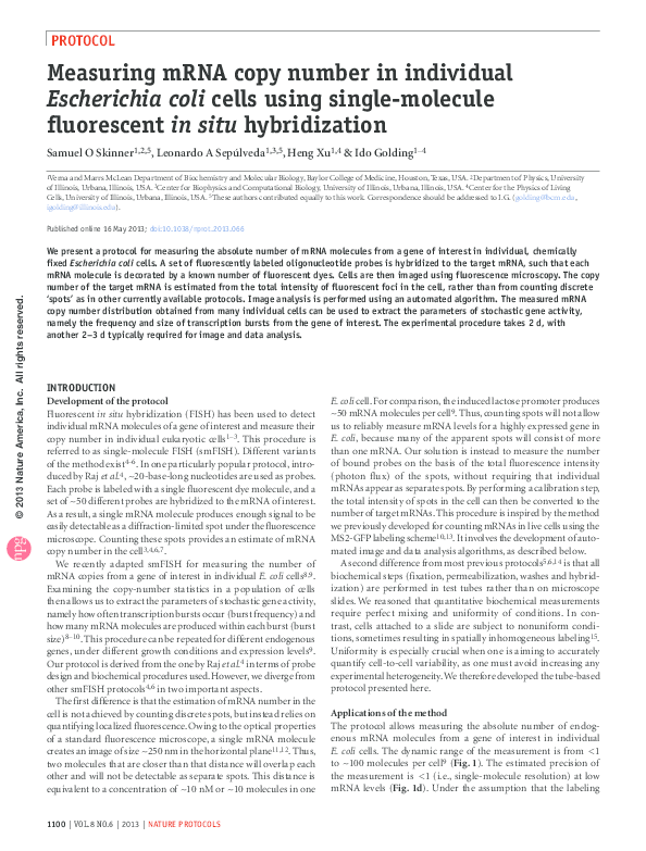 (PDF) Measuring mRNA copy number in individual Escherichia coli cells ...