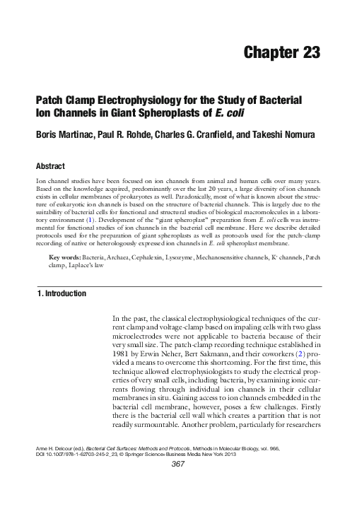 (PDF) Patch clamp electrophysiology for the study of bacterial ion ...