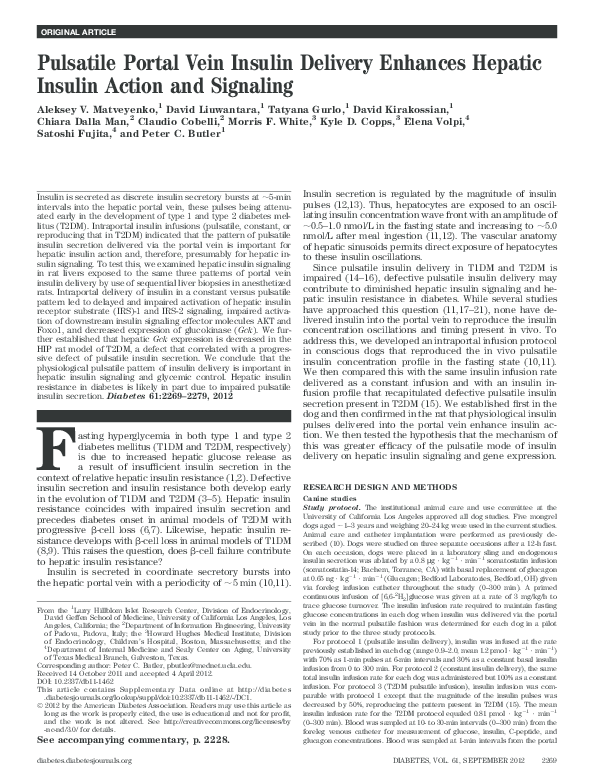 (PDF) Pulsatile Portal Vein Insulin Delivery Enhances Hepatic Insulin