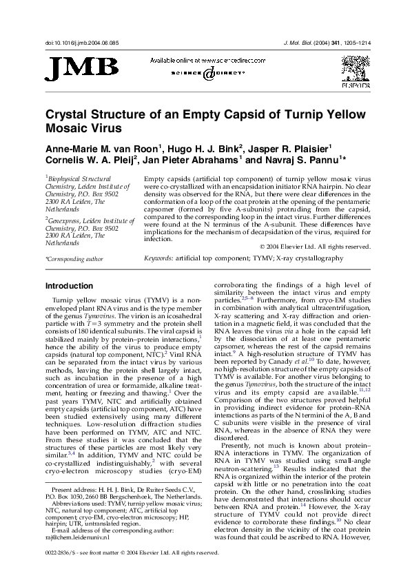 Can raw turnips make you sick image