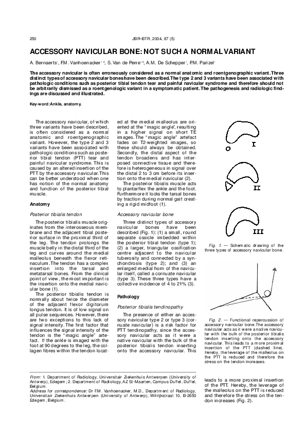 (PDF) Accessory navicular bone not such a normal variant A