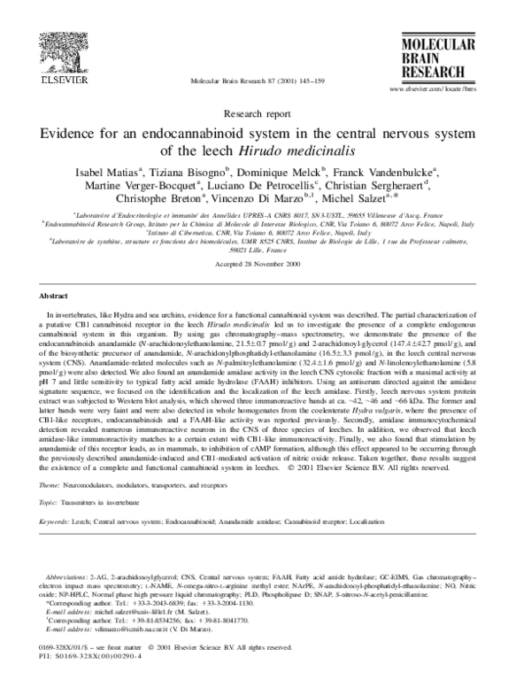 (PDF) Evidence for an endocannabinoid system in the central nervous ...