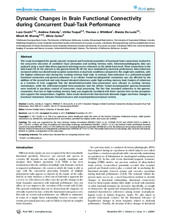 (PDF) Dynamic Changes in Brain Functional Connectivity during ...