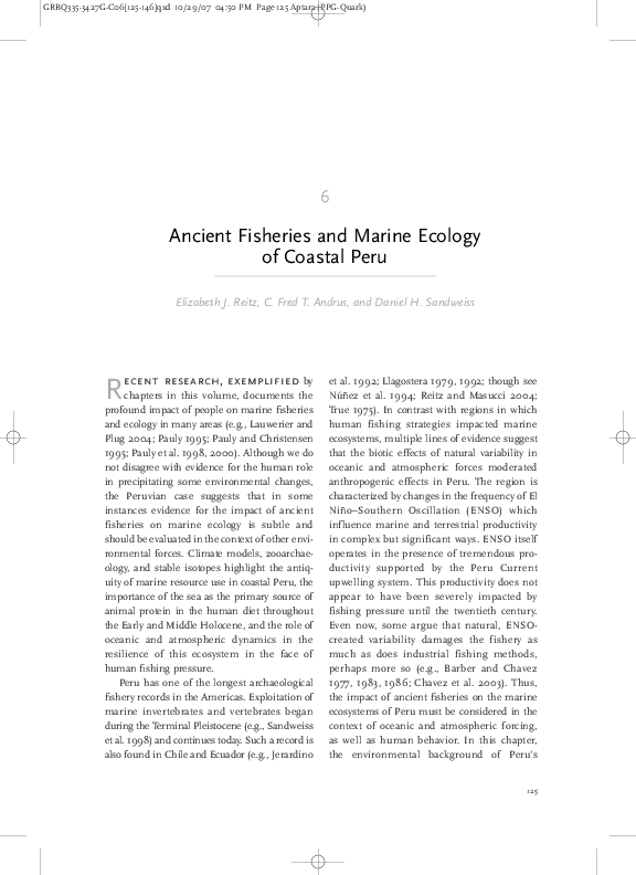 Synthesis essay example image