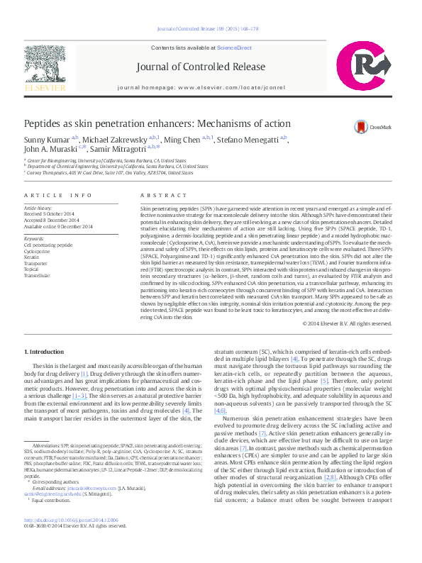 Peptides penetration through skin barrier