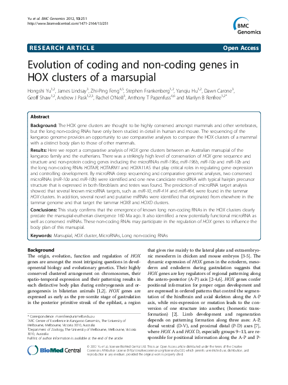 (PDF) Evolution of coding and non-coding genes in HOX clusters of a ...