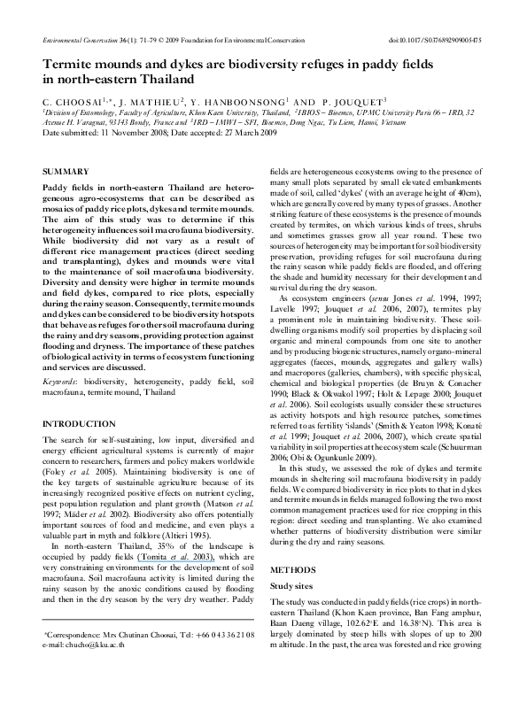Termite mounds meaning image