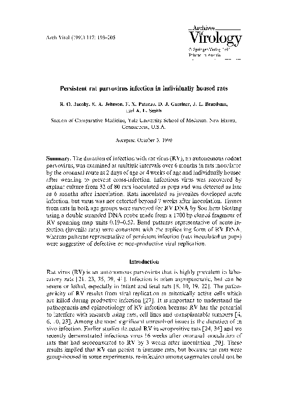 Can humans get parvo image