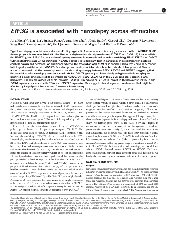 Sara mostafavi thesis 06 picture